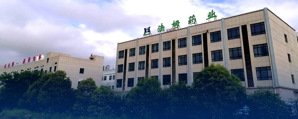 公司新闻